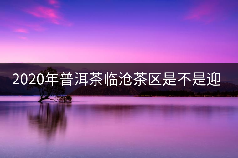 2020年普洱茶臨滄茶區(qū)是不是迎來最好機遇？