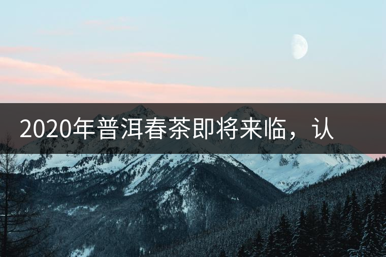 2020年普洱春茶即將來(lái)臨，認(rèn)定這4個(gè)標(biāo)準(zhǔn)判斷一款好茶不再是難題！