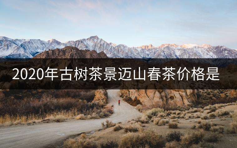2020年古樹(shù)茶景邁山春茶價(jià)格是多少？