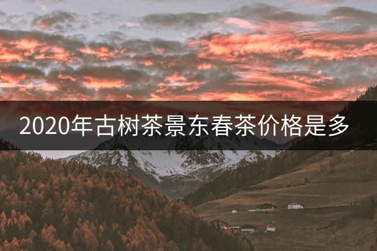 2020年古樹茶景東春茶價格是多少？