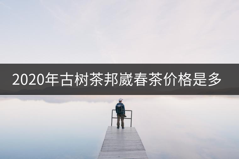 2020年古樹(shù)茶邦崴春茶價(jià)格是多少？