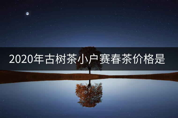2020年古樹茶小戶賽春茶價格是多少？