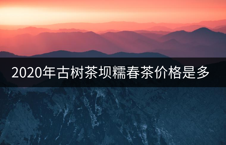 2020年古樹茶壩糯春茶價格是多少？