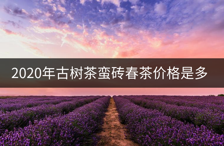 2020年古樹茶蠻磚春茶價格是多少？