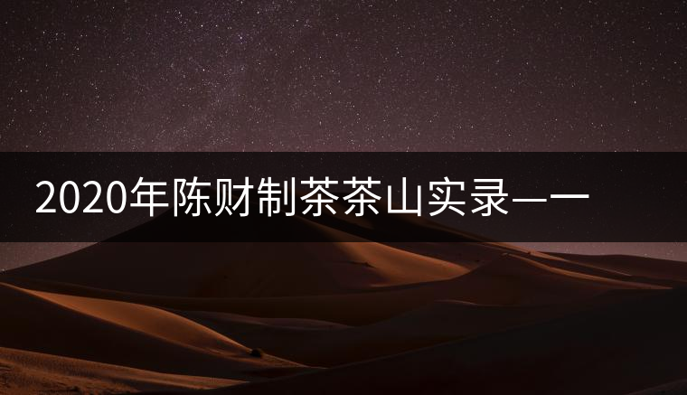 2020年陳財(cái)制茶茶山實(shí)錄—一手提7山，感受小產(chǎn)區(qū)的奧秘