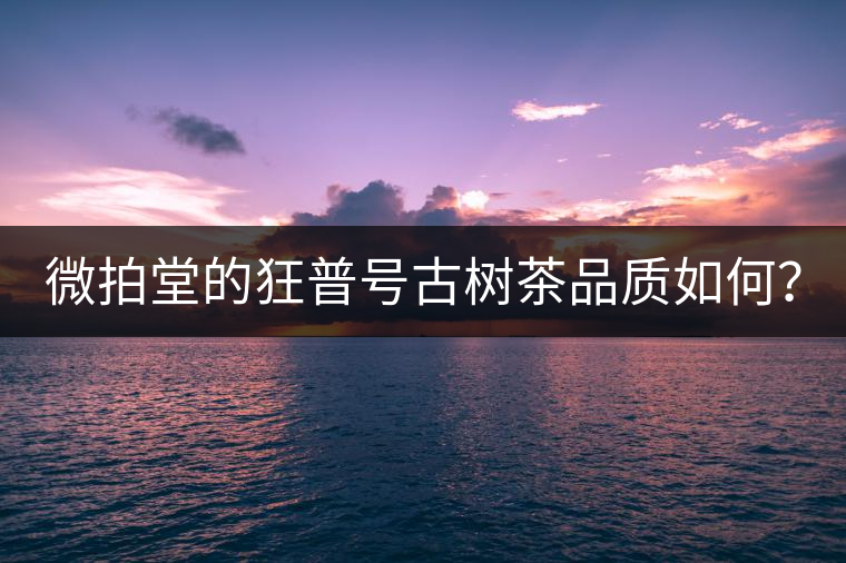 微拍堂的狂普號古樹茶品質(zhì)如何？
