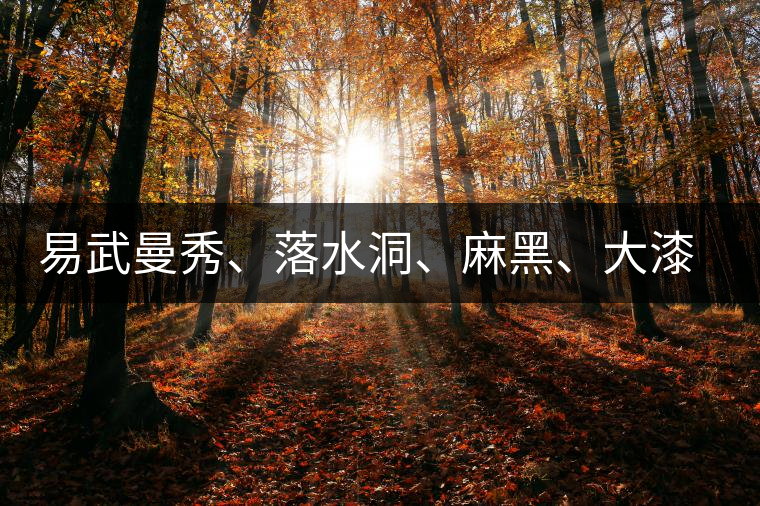 易武曼秀、落水洞、麻黑、大漆樹(shù)等你更喜歡哪個(gè)茶？