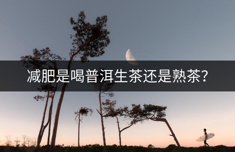 減肥是喝普洱生茶還是熟茶？
