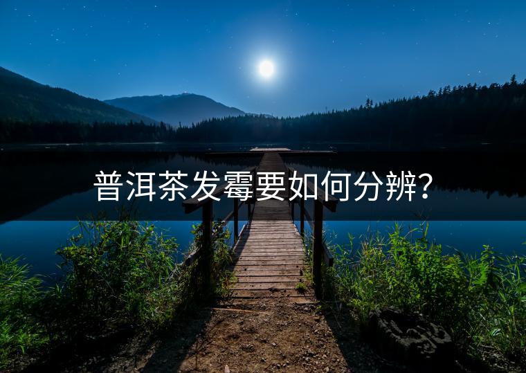 普洱茶發(fā)霉要如何分辨？