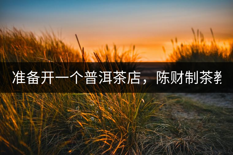 準備開一個普洱茶店，陳財制茶教你怎么做！