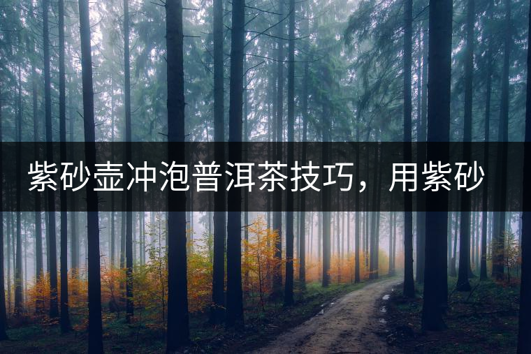 紫砂壺沖泡普洱茶技巧，用紫砂壺泡茶有哪些好處？