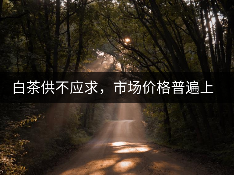 白茶供不應(yīng)求，市場(chǎng)價(jià)格普遍上漲？
