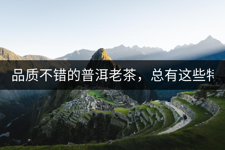 品質(zhì)不錯(cuò)的普洱老茶，總有這些特點(diǎn)！