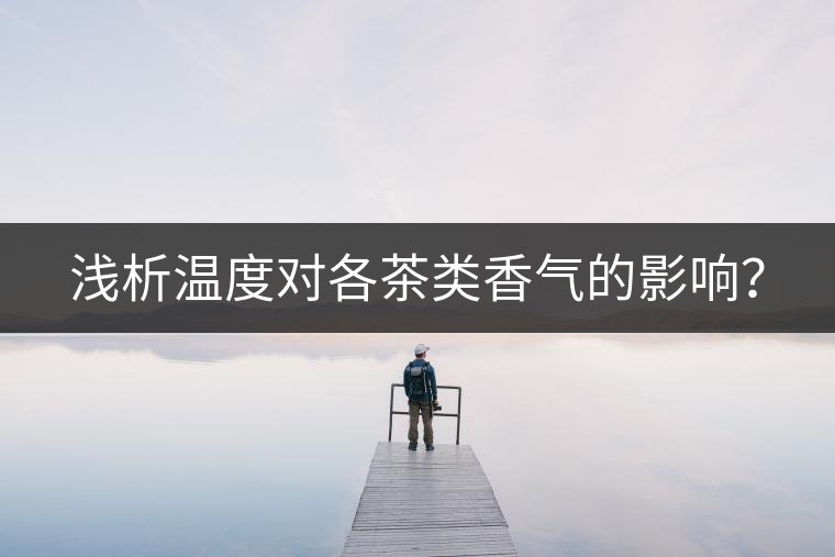 淺析溫度對各茶類香氣的影響？