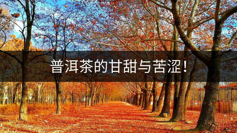 普洱茶的甘甜與苦澀！