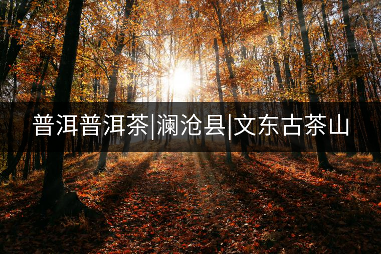 普洱普洱茶|瀾滄縣|文東古茶山