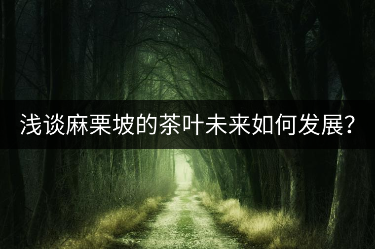 淺談麻栗坡的茶葉未來如何發(fā)展？