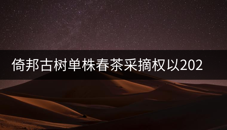 倚邦古樹(shù)單株春茶采摘權(quán)以202萬(wàn)成交