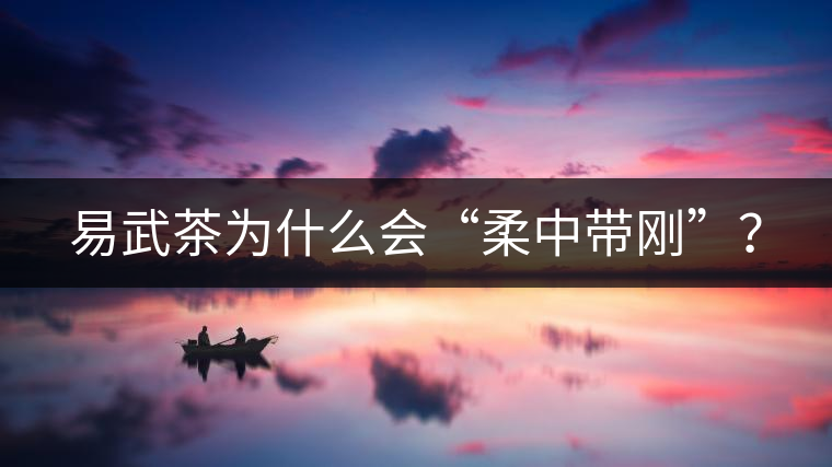 易武茶為什么會“柔中帶剛”？