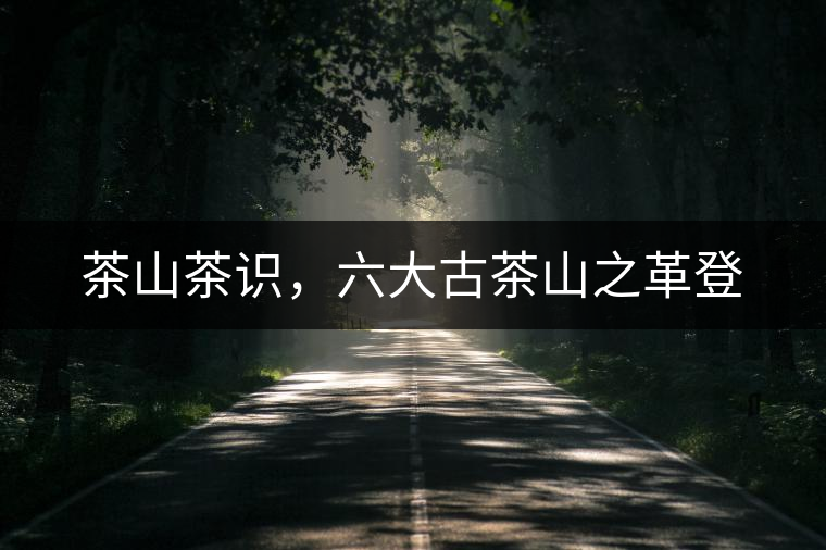 茶山茶識，六大古茶山之革登