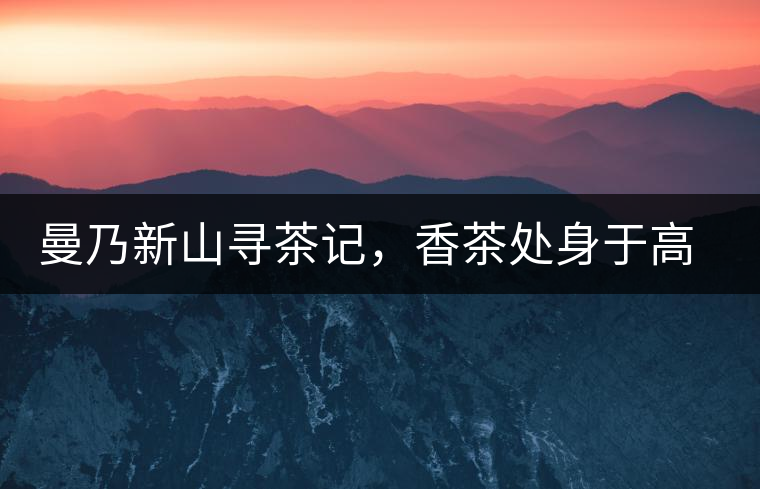 曼乃新山尋茶記，香茶處身于高山低谷間