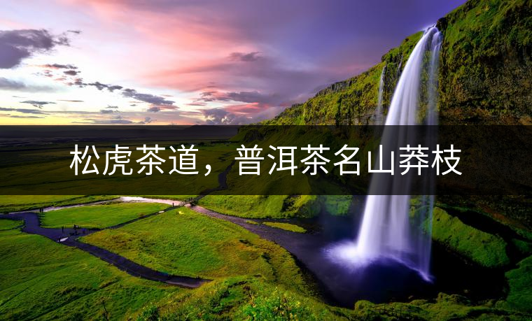 松虎茶道，普洱茶名山莽枝