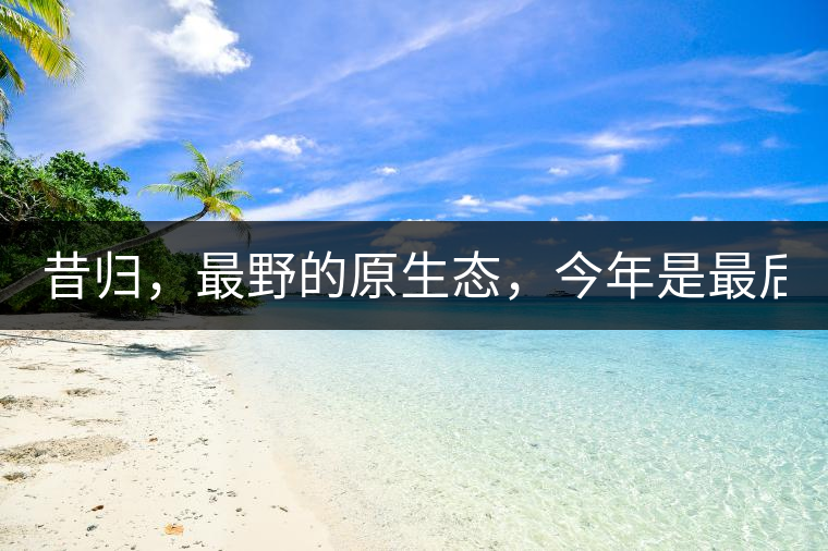昔歸，最野的原生態(tài)，今年是最后一年了！