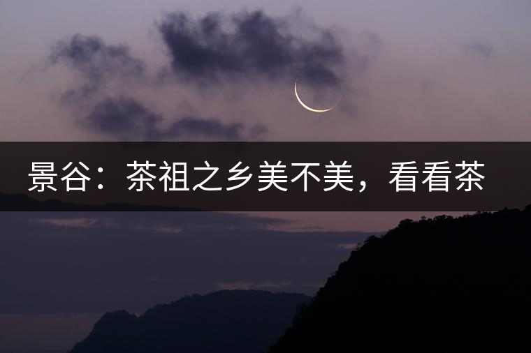 景谷：茶祖之鄉(xiāng)美不美，看看茶山和美人