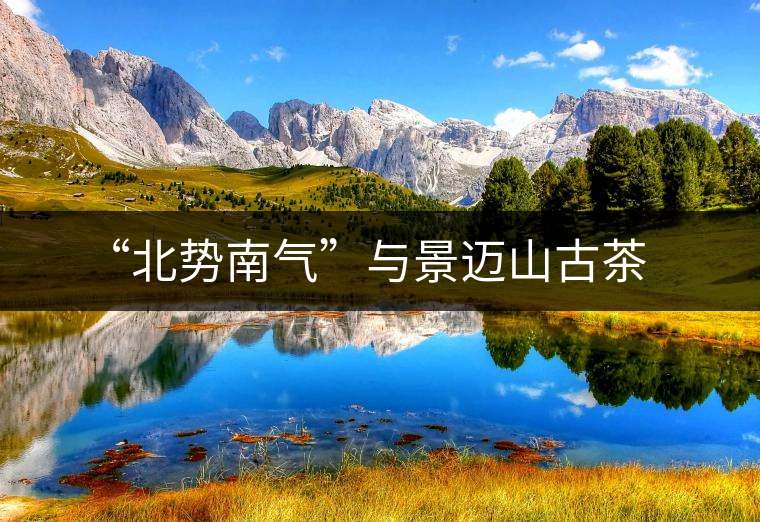 “北勢南氣”與景邁山古茶