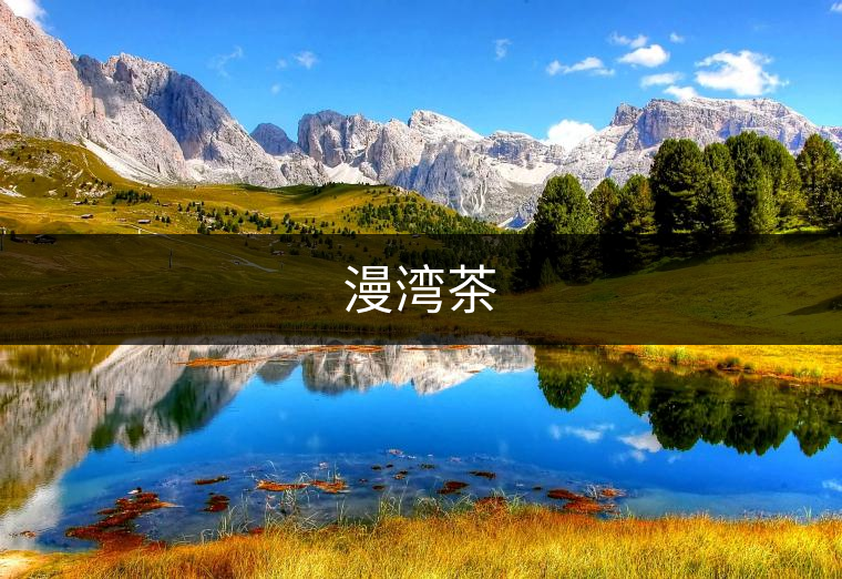 漫灣茶 漫灣茶