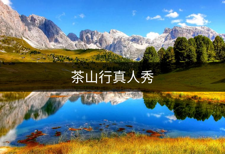 茶山行真人秀