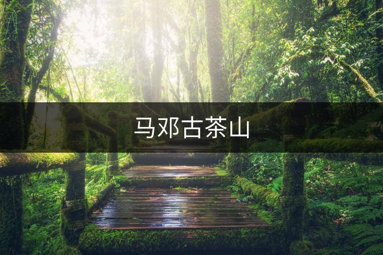 馬鄧古茶山