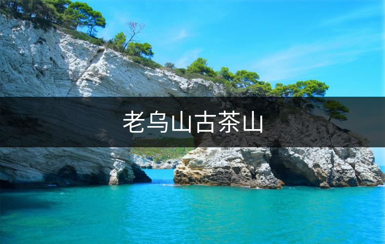 老烏山古茶山
