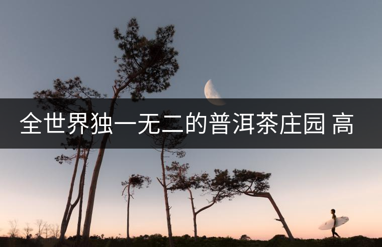 全世界獨(dú)一無(wú)二的普洱茶莊園 高大上且美出新高度