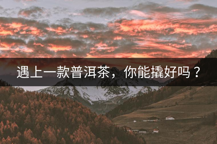 遇上一款普洱茶，你能撬好嗎 ？
