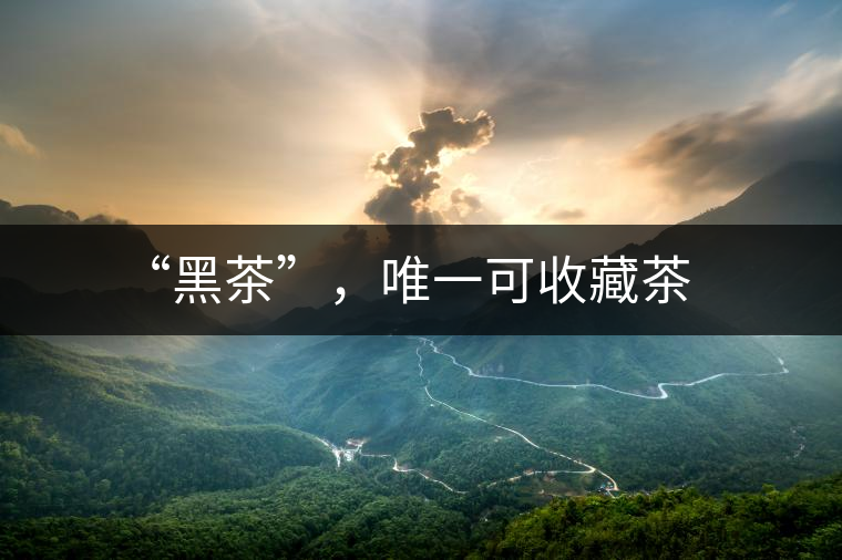 “黑茶”，唯一可收藏茶