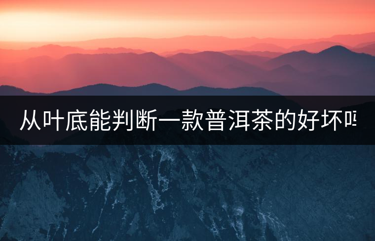 從葉底能判斷一款普洱茶的好壞嗎？