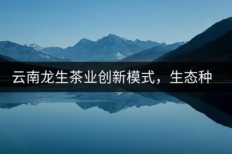 云南龍生茶業(yè)創(chuàng)新模式，生態(tài)種植