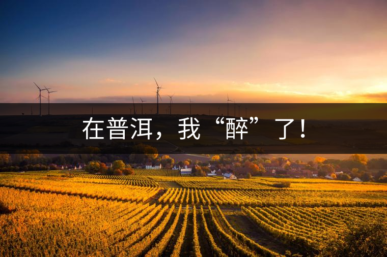 在普洱，我“醉”了！