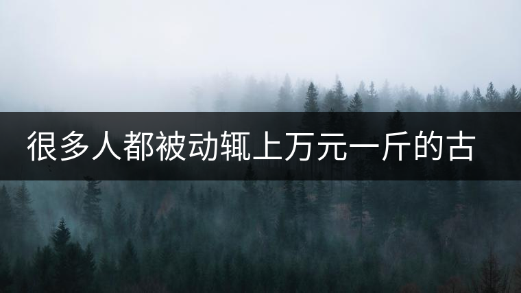 很多人都被動(dòng)輒上萬(wàn)元一斤的古樹(shù)茶給嚇住了，其實(shí)正宗的普洱茶古樹(shù)茶沒(méi)那么貴，源頭茶農(nóng)分享真實(shí)的古樹(shù)普洱茶！