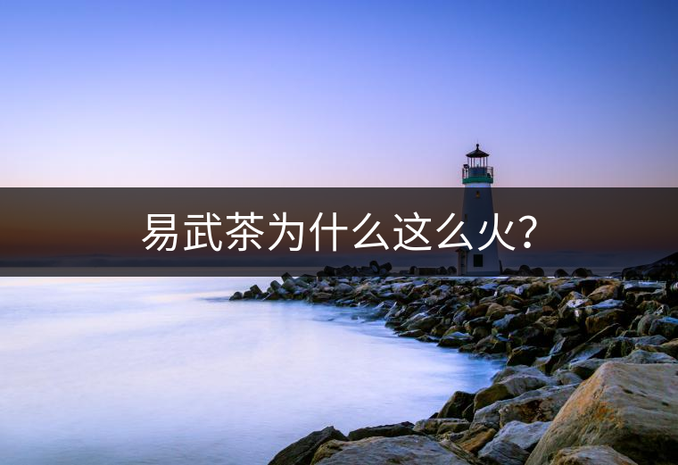 易武茶為什么這么火？