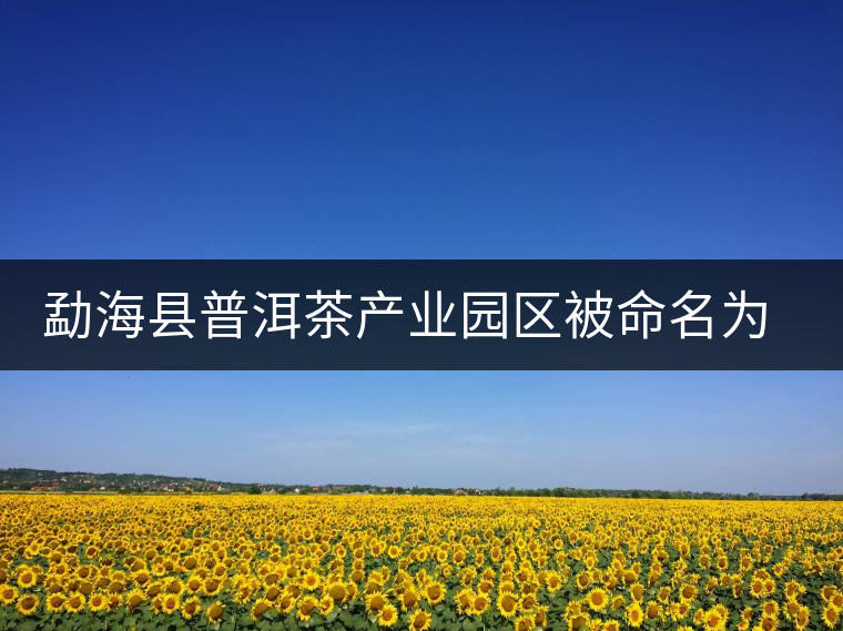 勐?？h普洱茶產(chǎn)業(yè)園區(qū)被命名為 