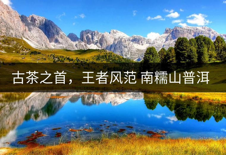 古茶之首，王者風(fēng)范 南糯山普洱茶