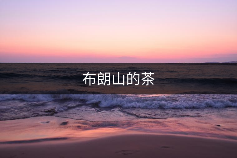 布朗山的茶