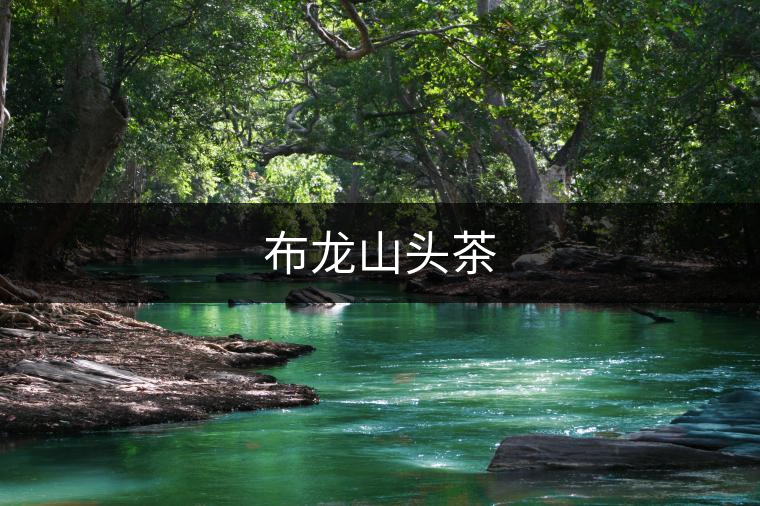 布龍山頭茶