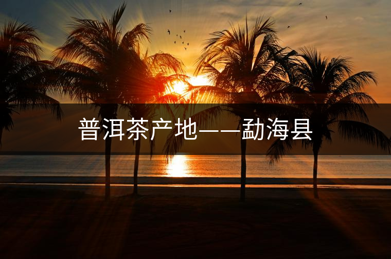 普洱茶產(chǎn)地——勐?？h