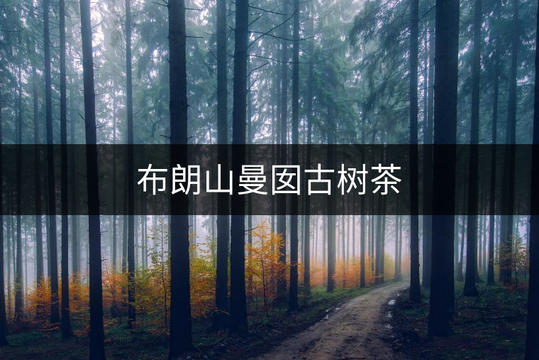 布朗山曼囡古樹茶