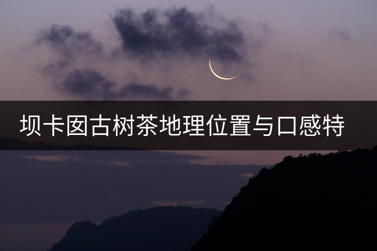 壩卡囡古樹(shù)茶地理位置與口感特點(diǎn)
