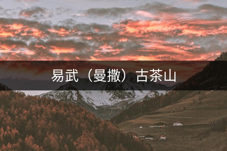 易武（曼撒）古茶山