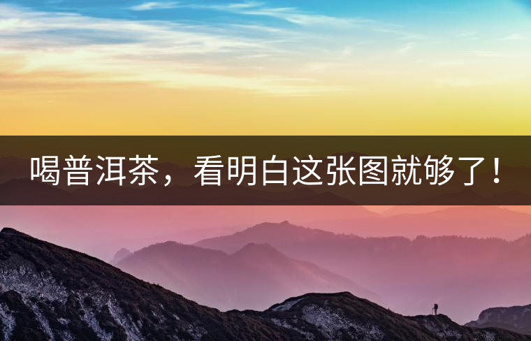 喝普洱茶，看明白這張圖就夠了！
